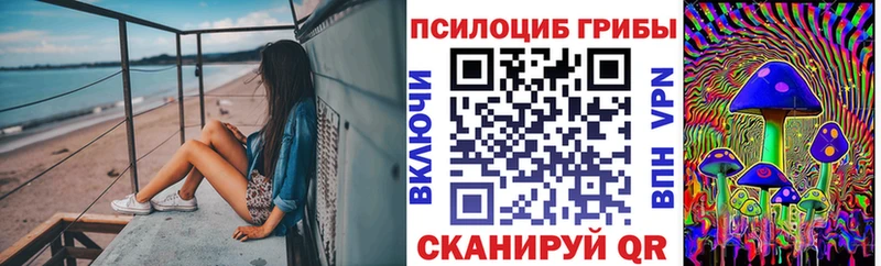 где купить наркоту  Спасск  Псилоцибиновые грибы GOLDEN TEACHER 